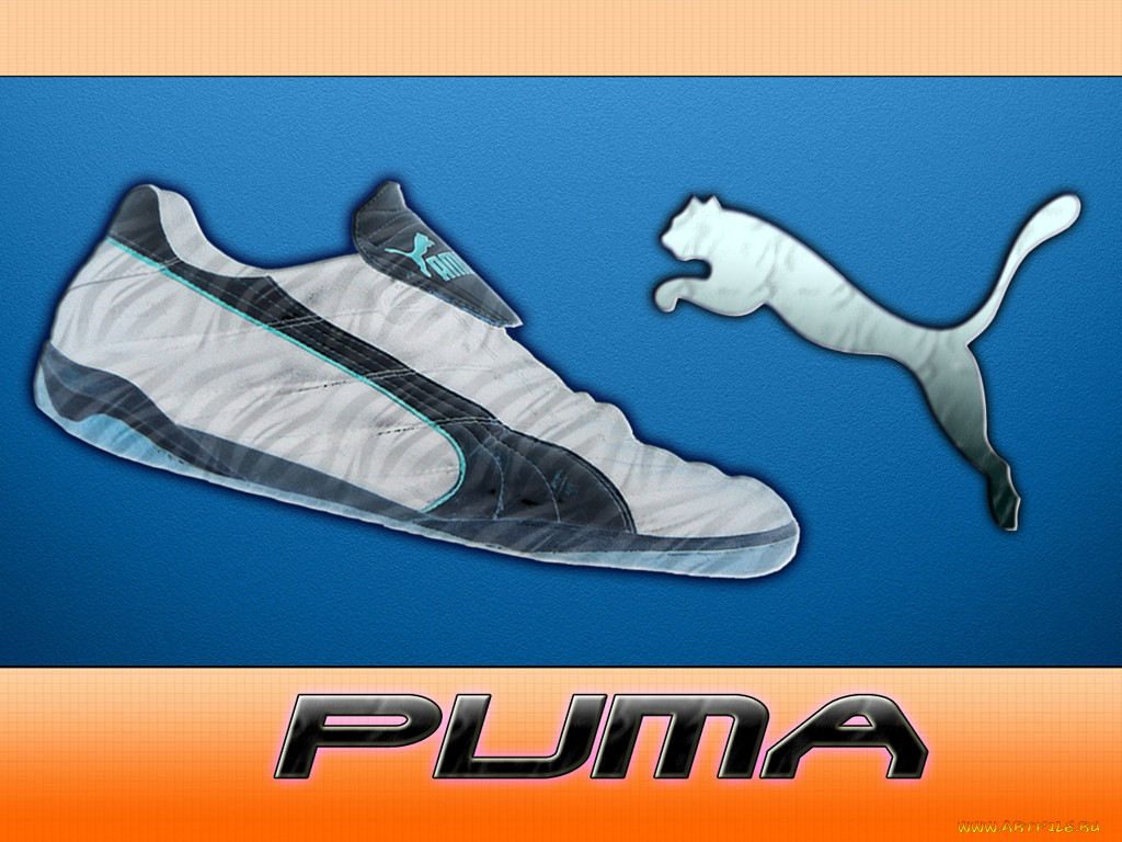 , puma